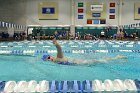 Swimming vs Bentley  Wheaton College Swimming vs Bentley. - Photo By: KEITH NORDSTROM : Wheaton, Swimming, Bentley